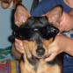 Incognito!!!